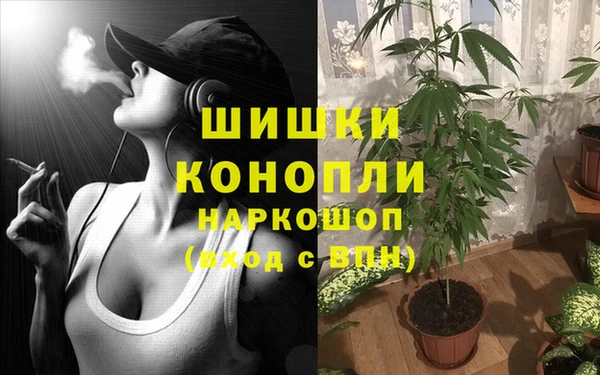 мдпв Ладушкин