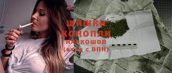 мдпв Ладушкин