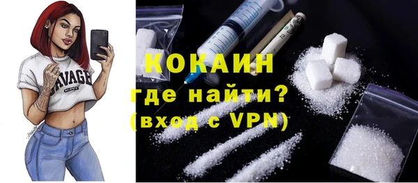 гашик Краснослободск